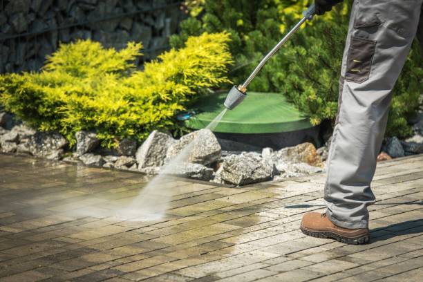 Best Factory Floor Cleaning  in China Grove, TX