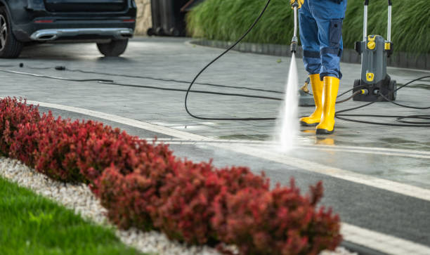 Best Solar Panel Cleaning  in China Grove, TX